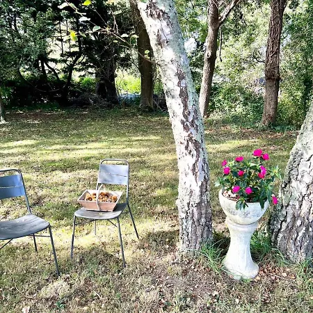 Maison Homard 1841, 2-6 Pers, Pres De La Plage